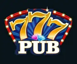 778pub